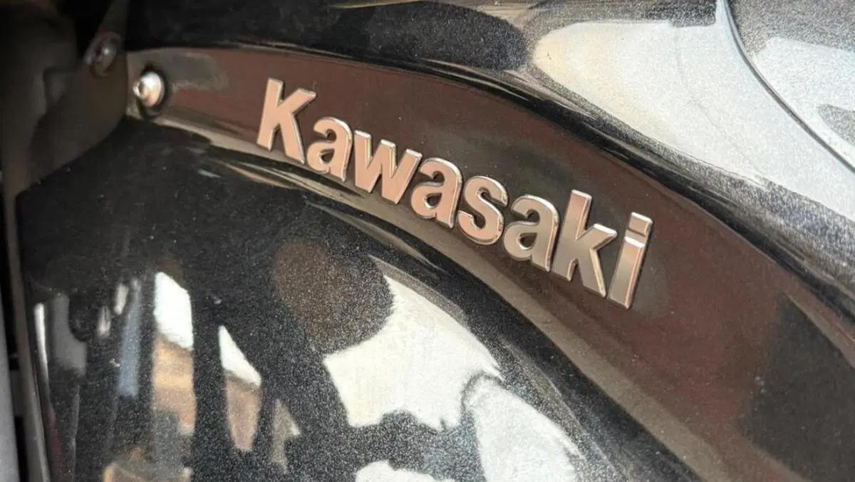 Kawasaki Z 900 (2025 - 26)  (3)