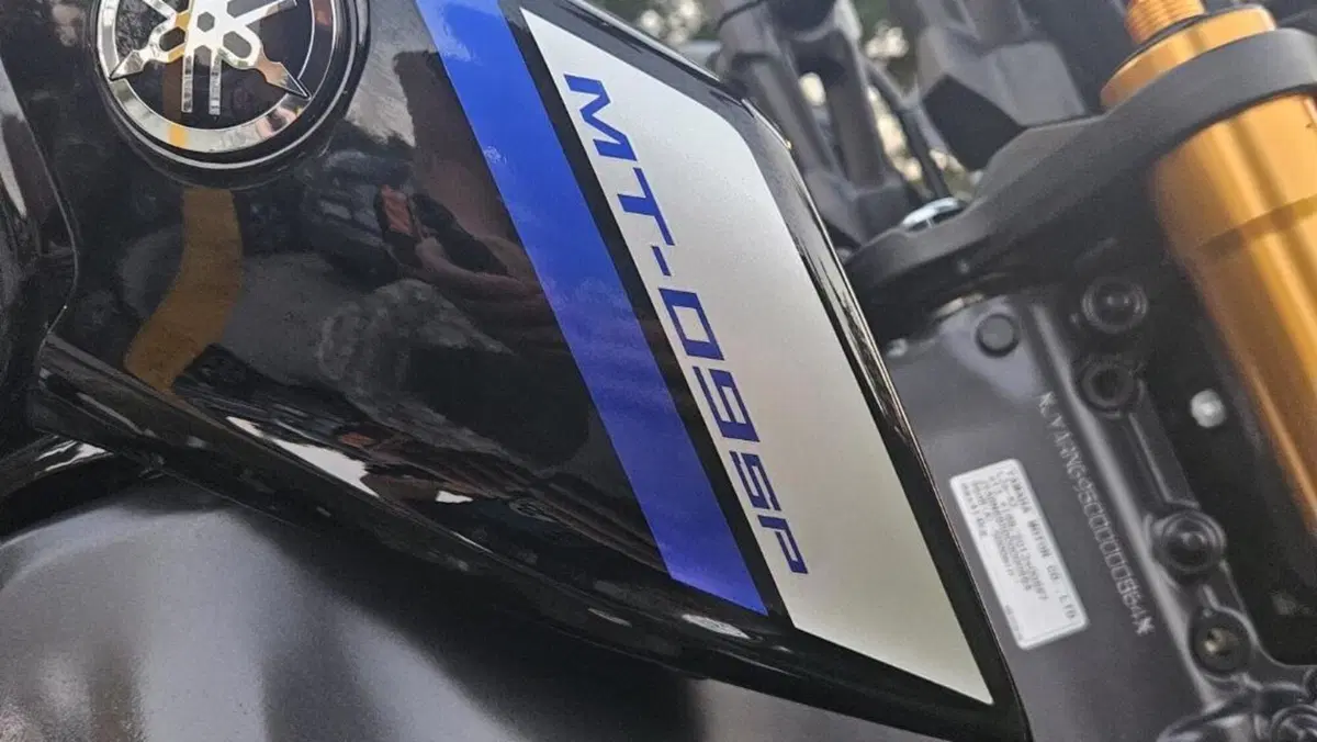 Yamaha MT-09 SP (2021 - 23)  (5)