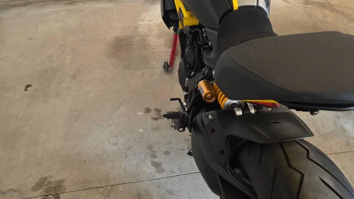 Ducati Diavel 1260 S (2021 - 22)  (3)