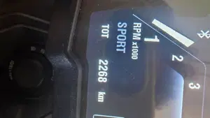 Ducati Diavel 1260 S (2021 - 22)  (9)