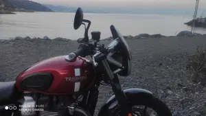Triumph Street Twin 900 (2016) 