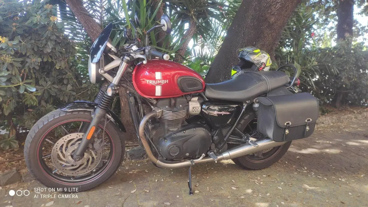 Triumph Street Twin 900 (2016)  (6)