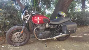 Triumph Street Twin 900 (2016)  (6)