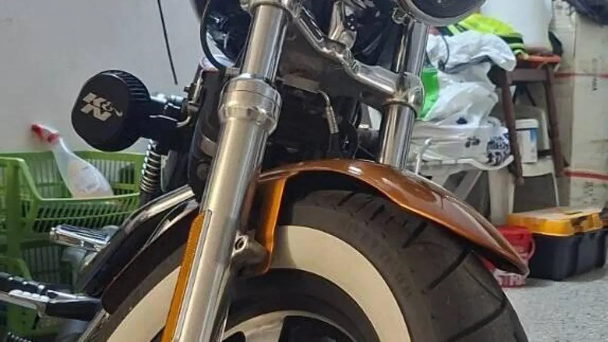 Harley-Davidson 1200 Custom CA (2013 - 17) - XL 1200CA  (2)