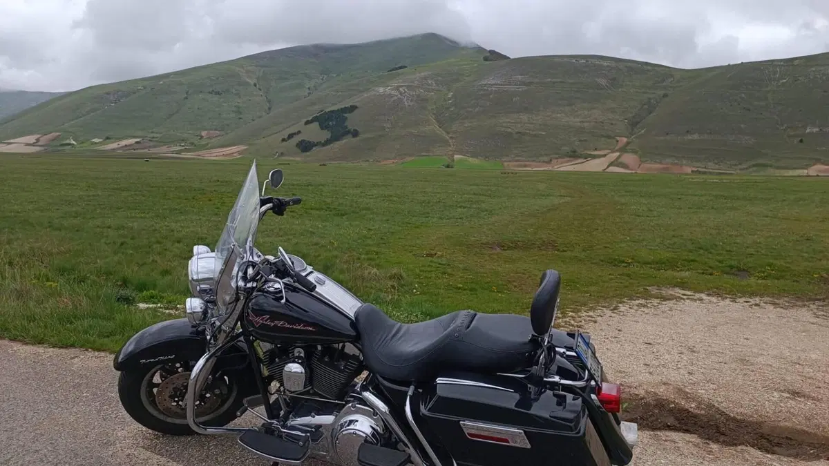 Harley-Davidson Road King CVO (2008) - FLHRSE4 
