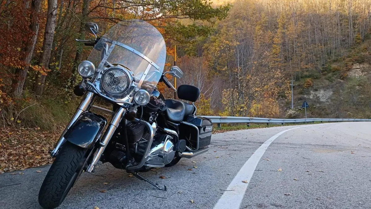 Harley-Davidson Road King CVO (2008) - FLHRSE4  (4)