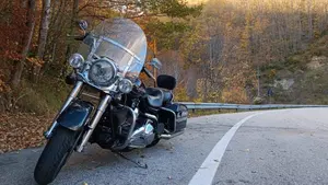 Harley-Davidson Road King CVO (2008) - FLHRSE4  (4)