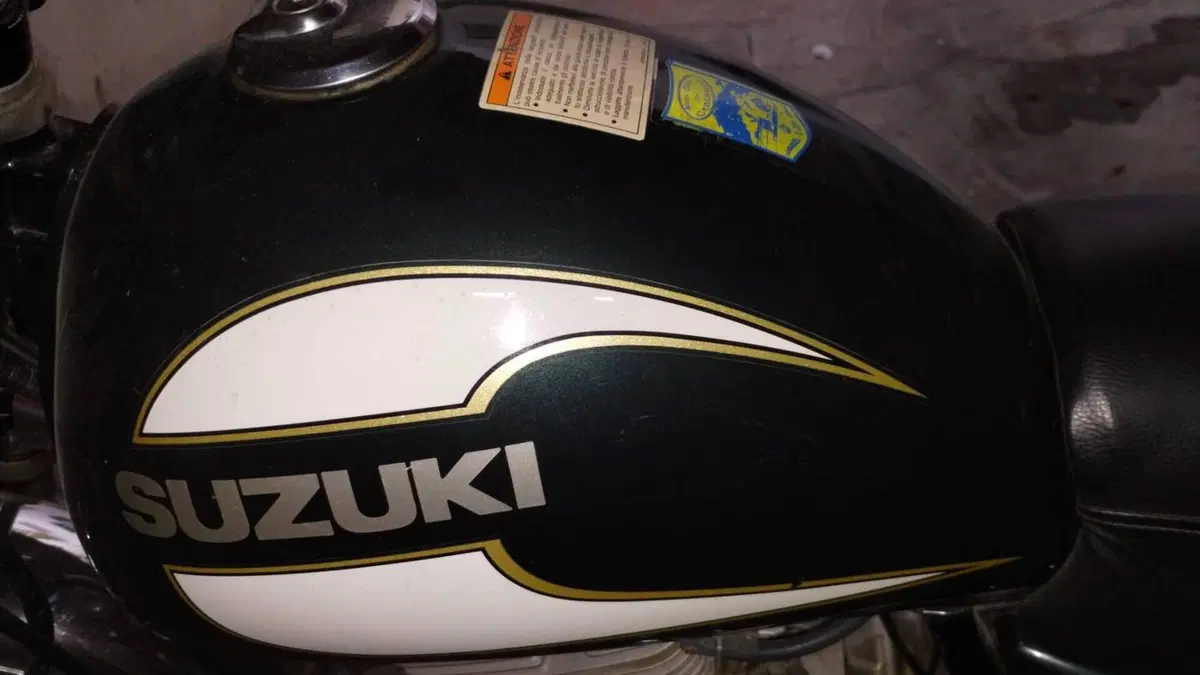 Suzuki TU 250 X (1997 - 03)  (9)