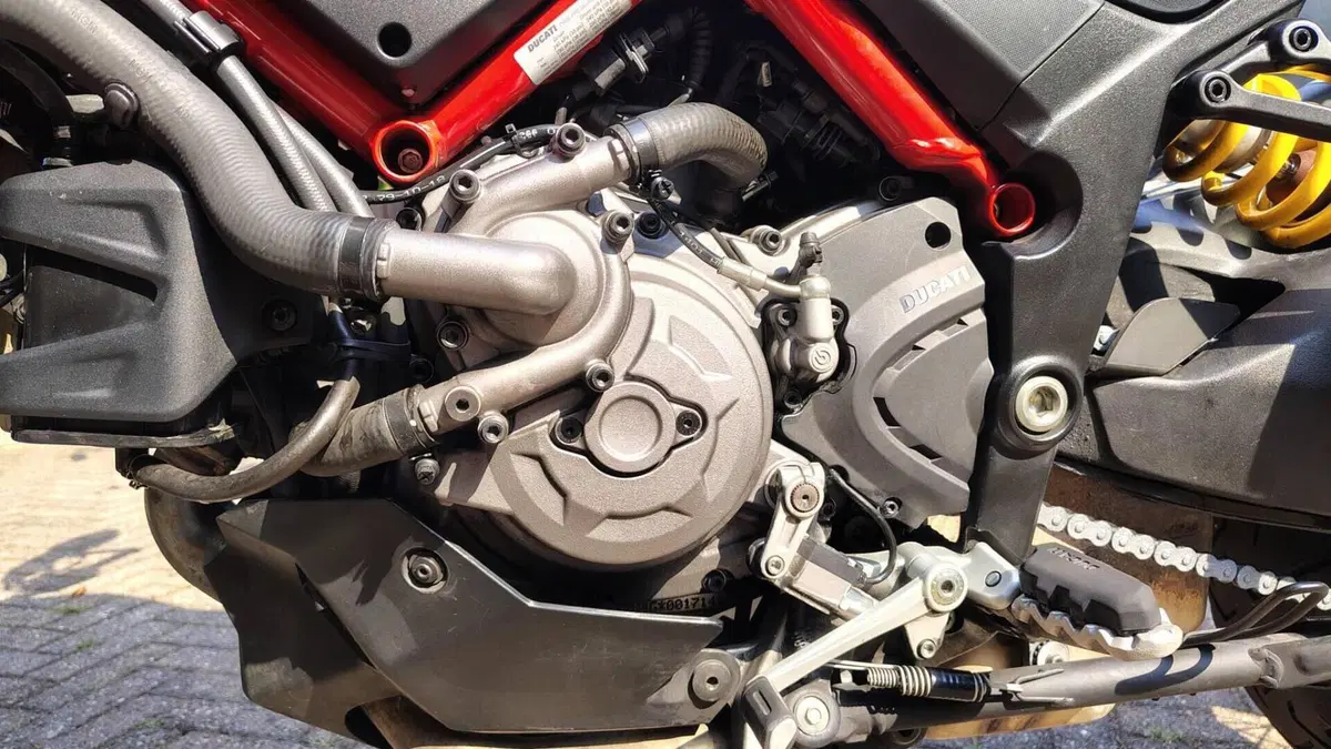 Ducati Multistrada 950 S (2019 - 20)  (6)