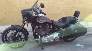 Harley-Davidson 107 Sport Glide (2018 - 20)  (4)