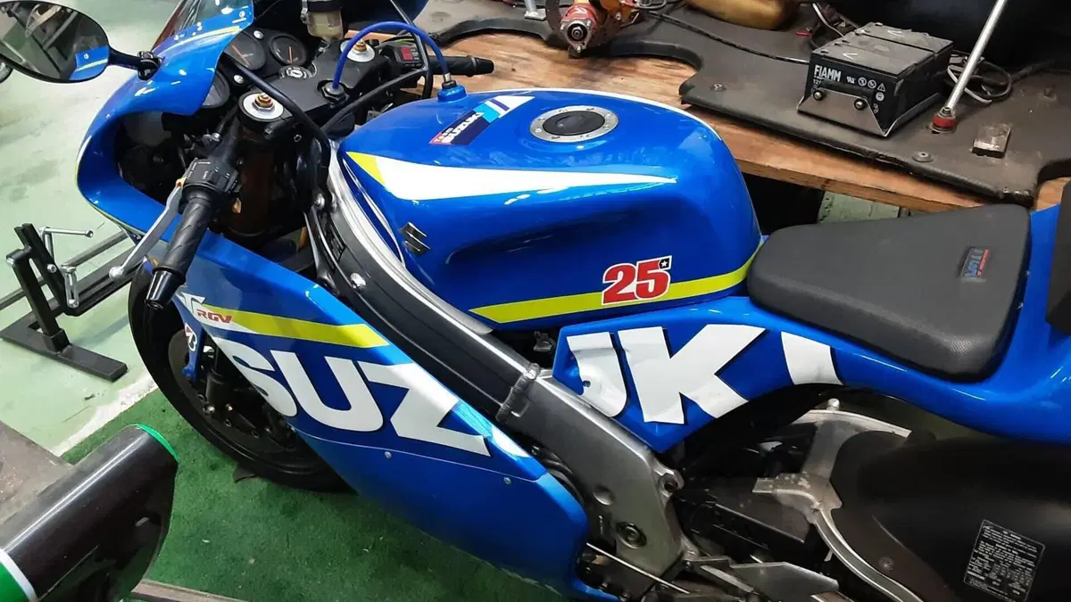 Suzuki RGV 250 (1989 - 97)  (4)