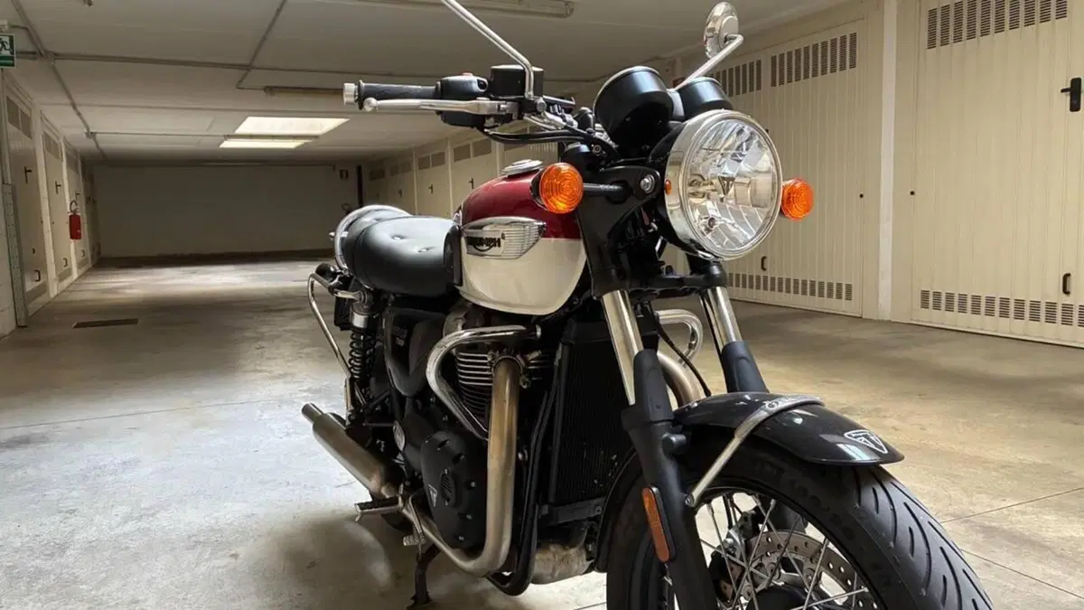 Triumph Bonneville T100 (2021 - 25)  (2)