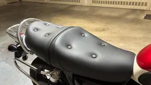 Triumph Bonneville T100 (2021 - 25)  (4)