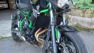 Kawasaki Z 650 (2021 - 24)  (4)