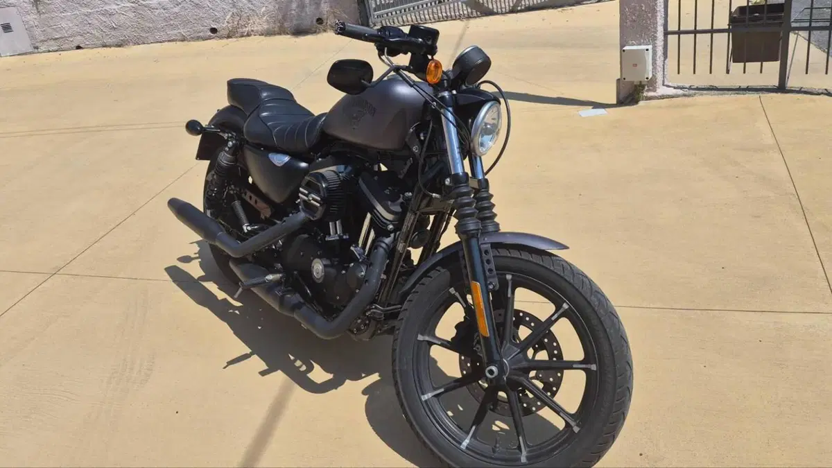 Harley-Davidson 883 Iron (2014 - 16) - XL 883N  (7)