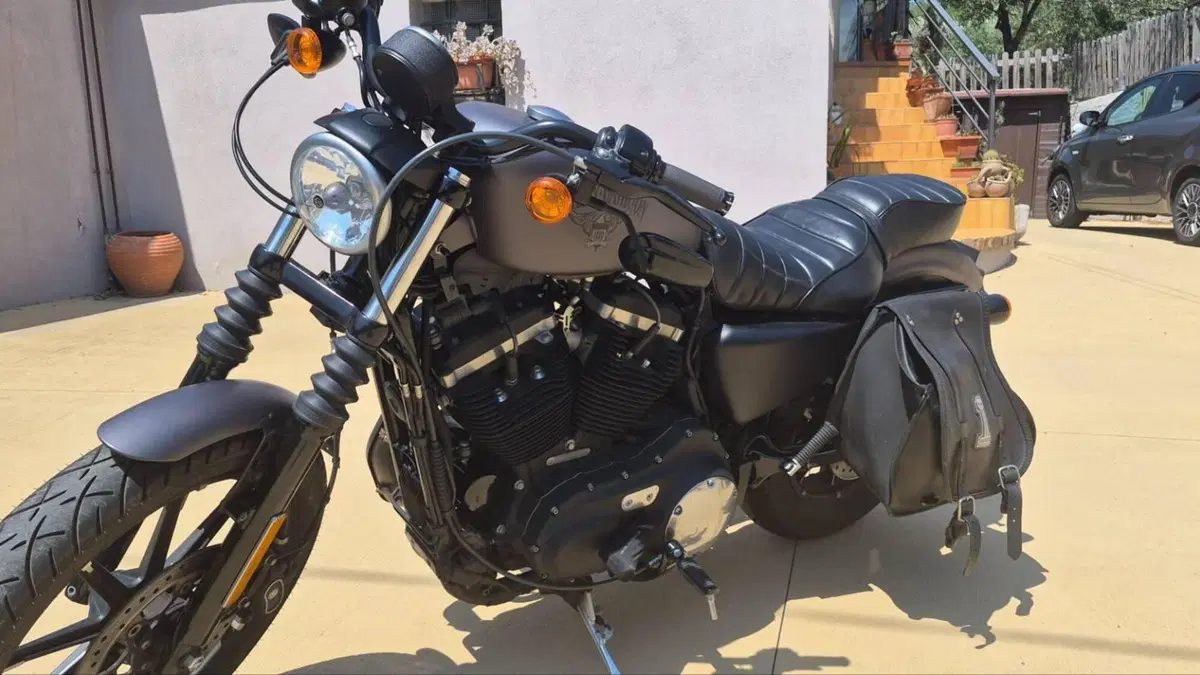 Harley-Davidson 883 Iron (2014 - 16) - XL 883N  (10)