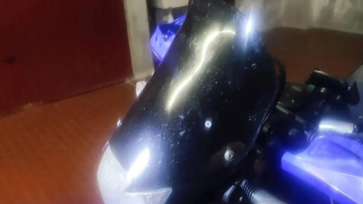 Yamaha XT 660 R (2004 - 16)  (7)
