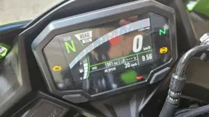 Kawasaki Ninja ZX-4R (2024 - 26)  (7)