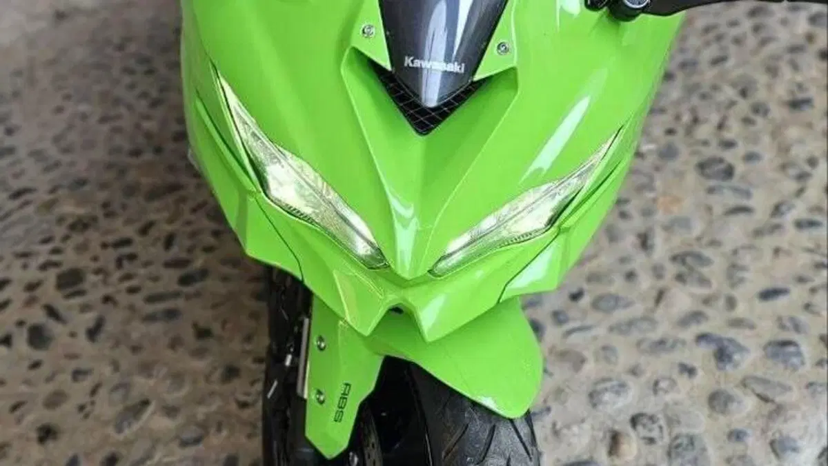 Kawasaki Ninja ZX-4R (2024 - 26)  (2)