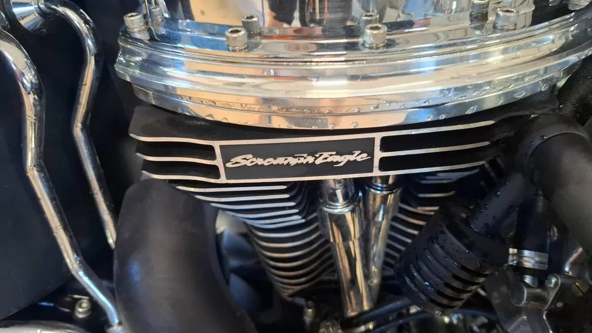 Harley-Davidson 1450 Heritage Springer (2000 - 03) - FLSTS  (6)
