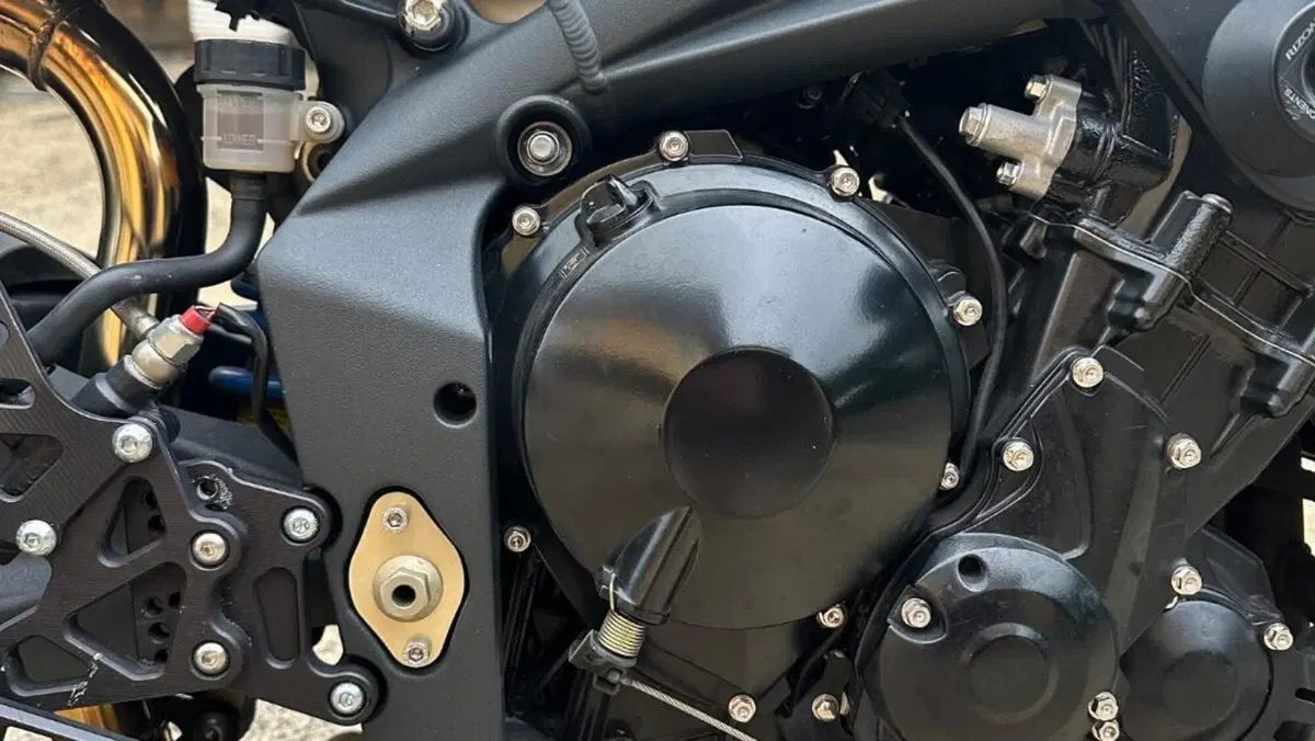 Triumph Street Triple (2007 - 12)  (7)