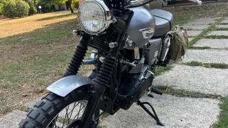 Triumph Scrambler (2006 - 17) usata