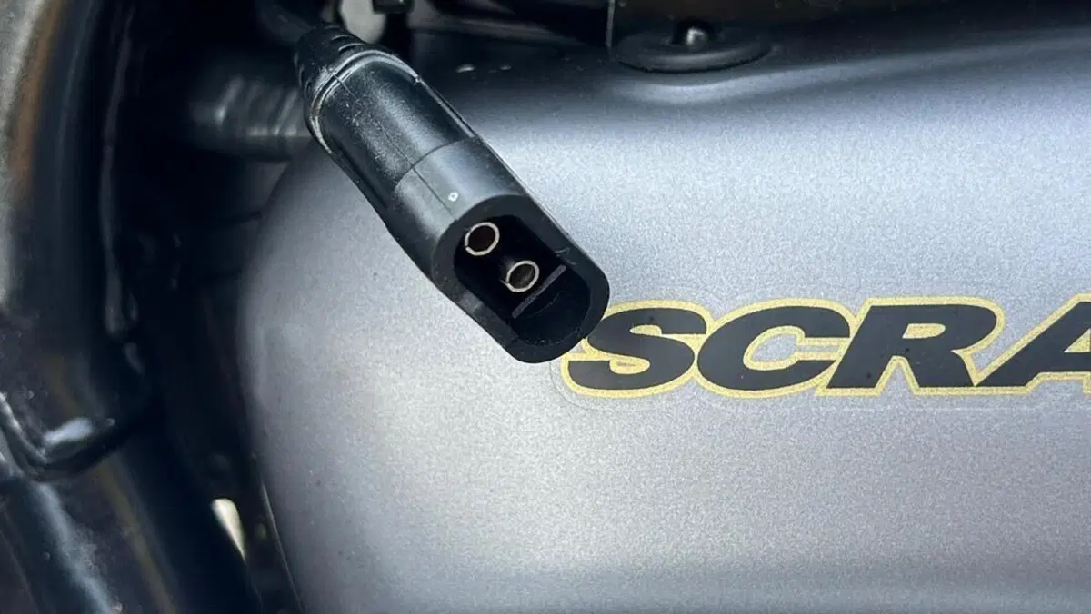 Triumph Scrambler (2006 - 17)  (11)