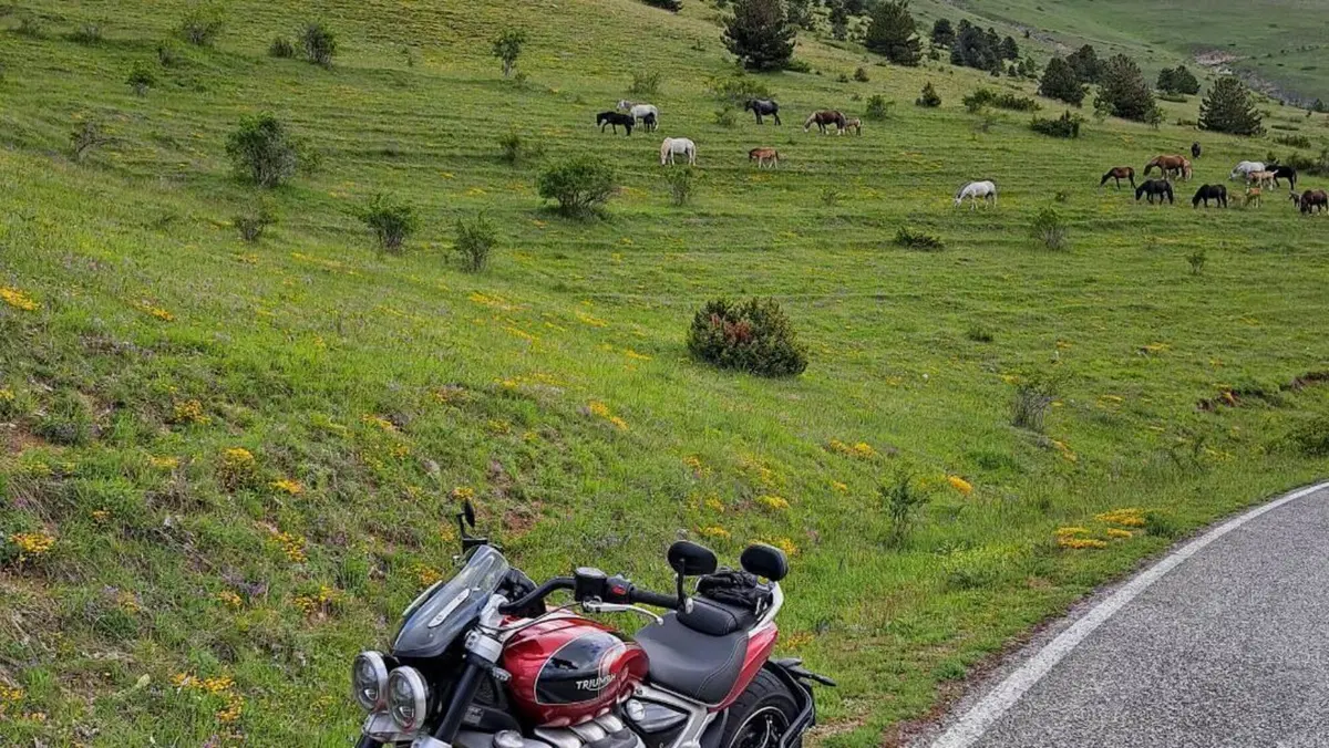 Triumph Rocket 3 GT (2021 - 24)  (7)