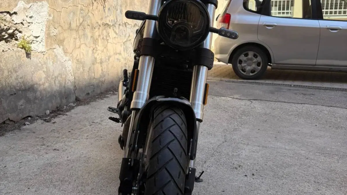 Benelli Leoncino 500 Trail (2021 - 26)  (4)