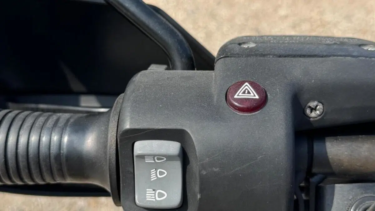Bmw R 1150 GS ABS (1999 - 03)  (13)