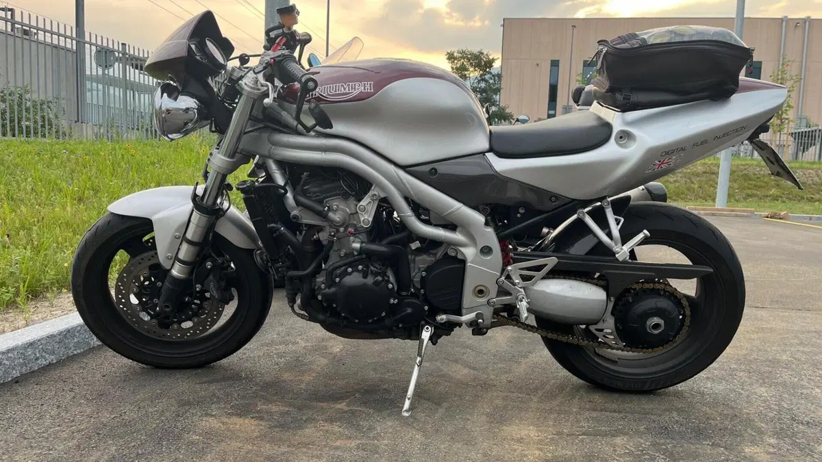 Triumph Daytona 955 I (1999 - 01)  (2)