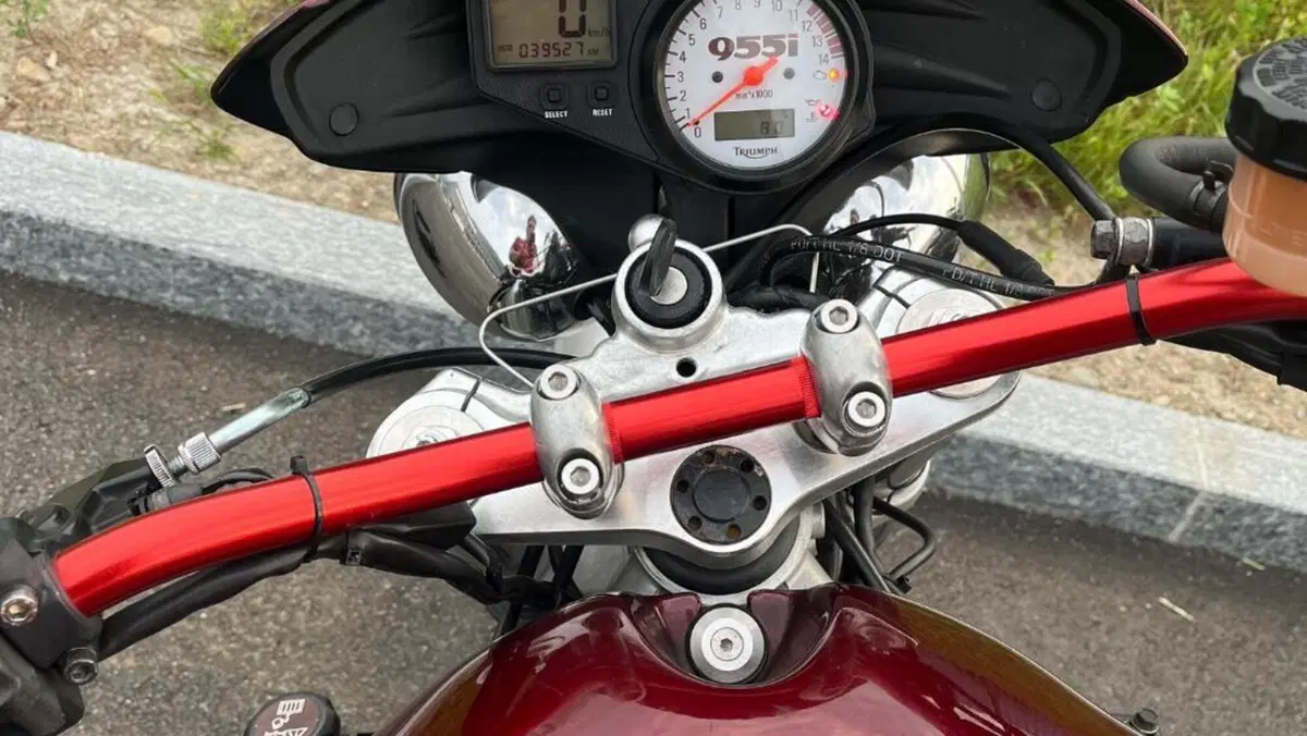 Triumph Daytona 955 I (1999 - 01)  (5)