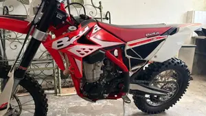 Betamotor RR 400 4T Enduro (2014)  (3)