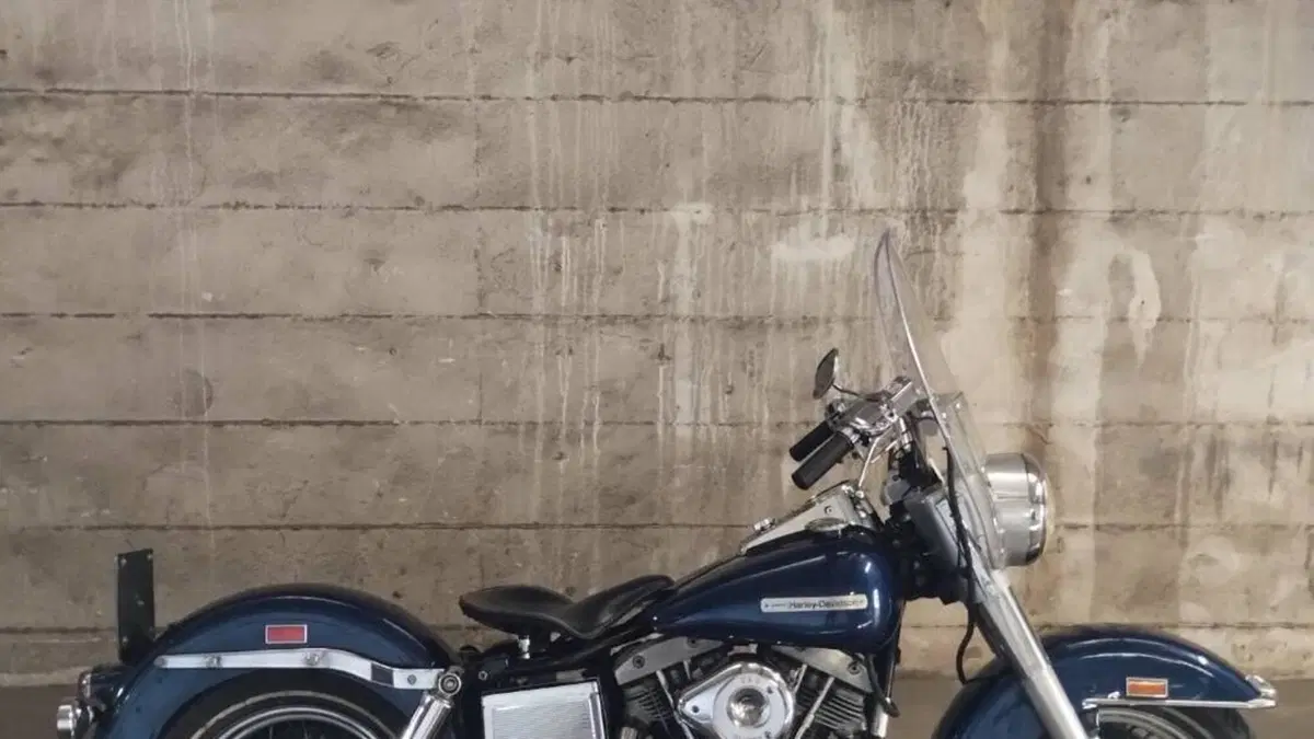 Harley-Davidson   (2)