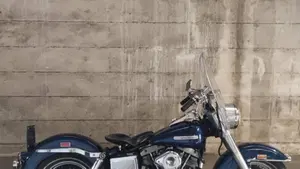 Harley-Davidson   (2)