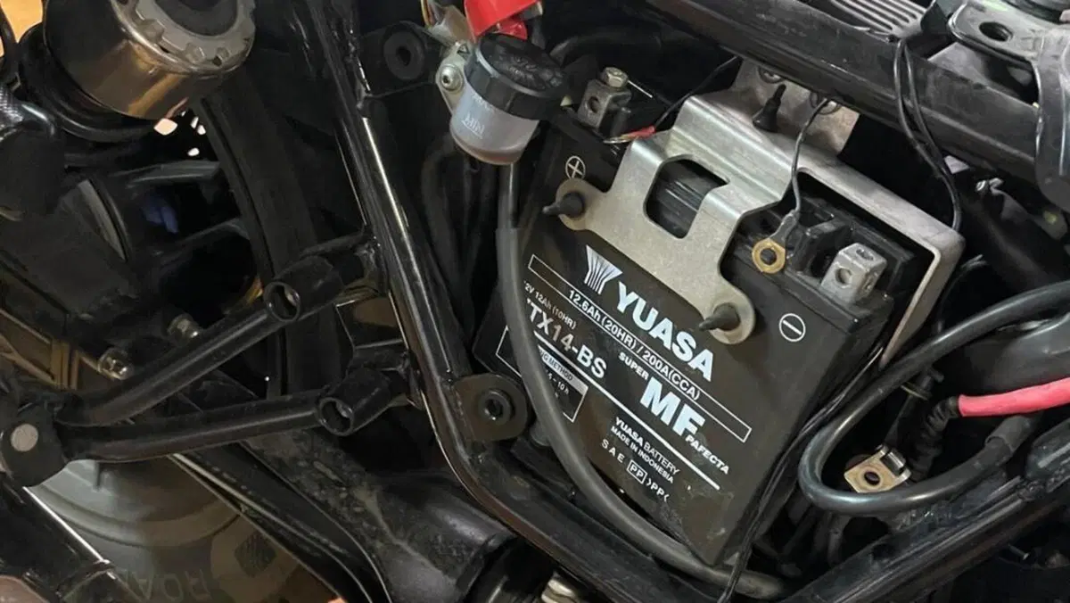 Moto Guzzi V7 II Stone (2015 - 17)  (8)