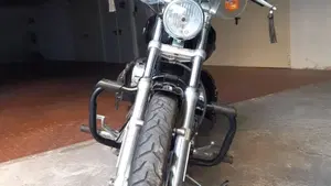Harley-Davidson 1200 Custom (2007 - 13) - XL 1200C  (2)