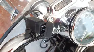 Harley-Davidson 1200 Custom (2007 - 13) - XL 1200C  (11)