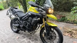 Triumph Tiger 800 ABS (2010 - 14)  (2)