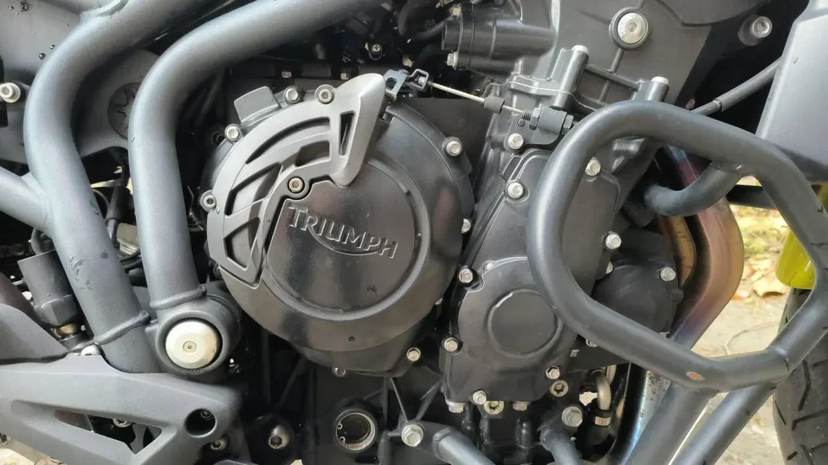 Triumph Tiger 800 ABS (2010 - 14)  (10)