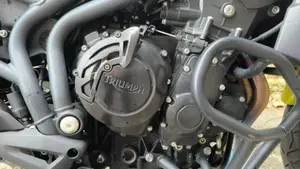 Triumph Tiger 800 ABS (2010 - 14)  (10)