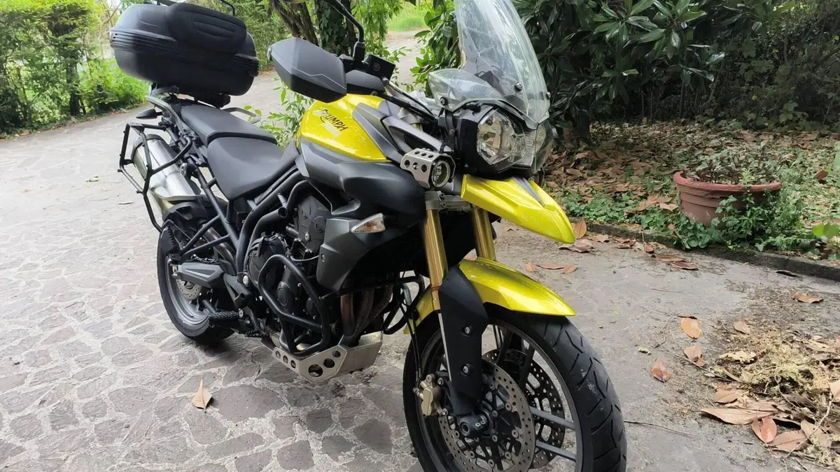 Triumph Tiger 800 ABS (2010 - 14)  (14)
