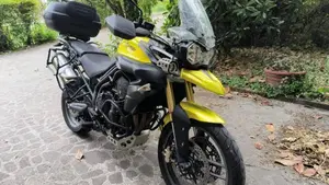 Triumph Tiger 800 ABS (2010 - 14)  (14)