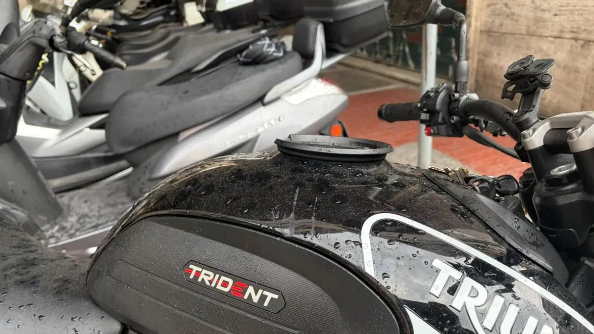 Triumph Trident 660 (2021 - 24)  (4)