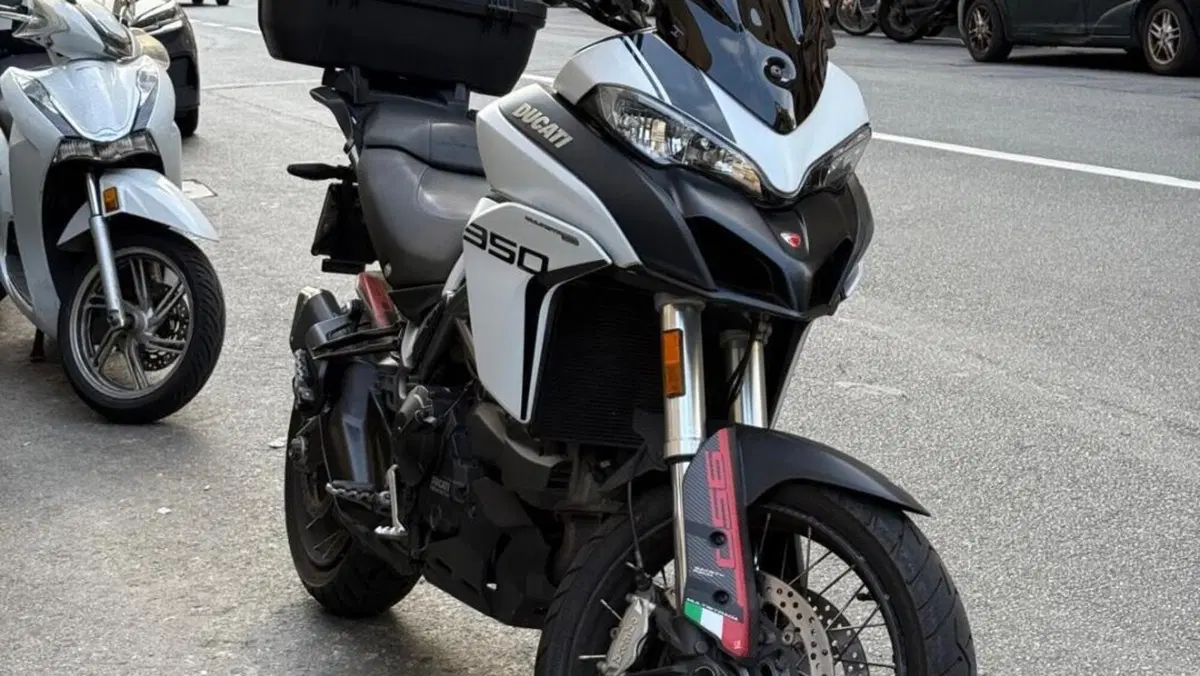 Ducati Multistrada 950 (2018)  (2)