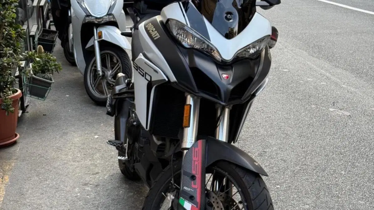 Ducati Multistrada 950 (2018)  (5)
