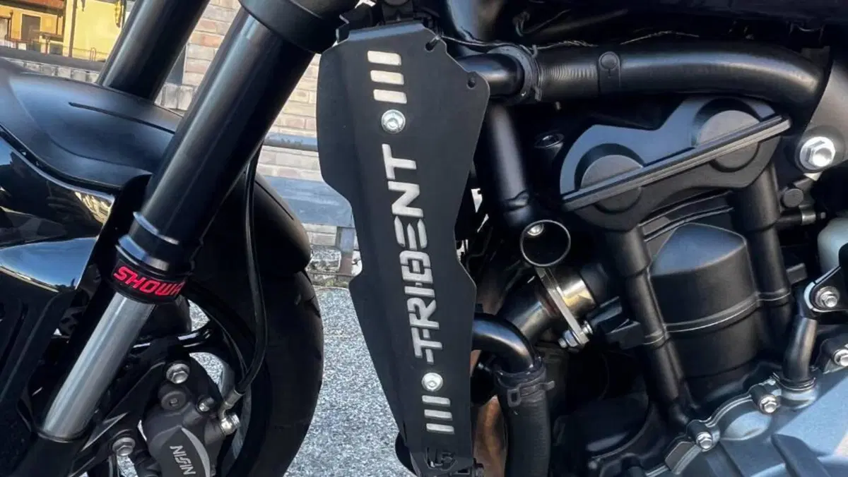 Triumph Trident 660 (2021 - 24)  (10)