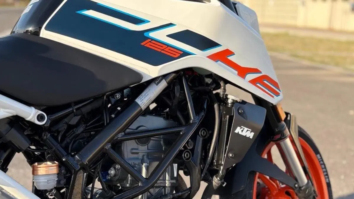 KTM 125 Duke (2024 - 25)  (6)