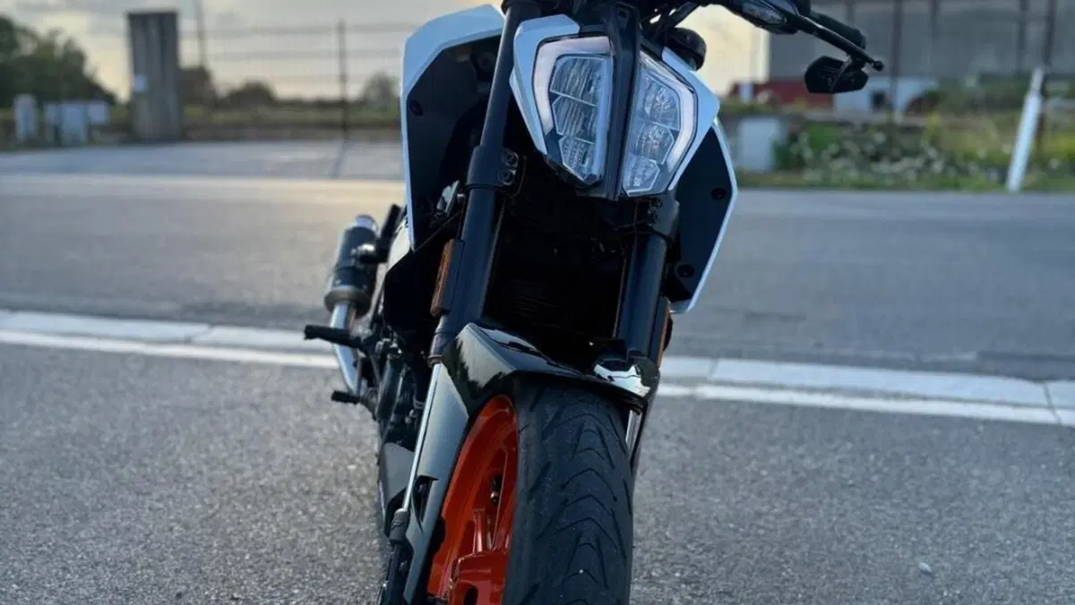 KTM 125 Duke (2024 - 25)  (8)