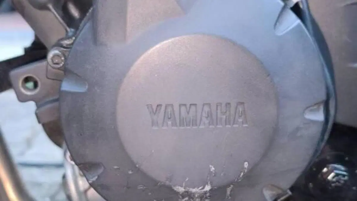 Yamaha FZ6 (2004 - 07)  (6)